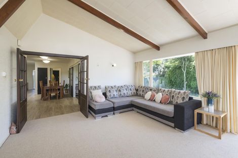 Photo of property in 50 Windsor Street, Terrace End, Palmerston North, 4410
