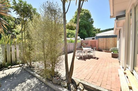 Photo of property in 157 Norwood Street, Normanby, Dunedin, 9010