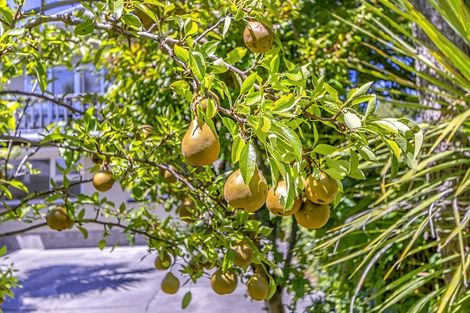 Photo of property in 7 Roydvale Avenue, Burnside, Christchurch, 8042