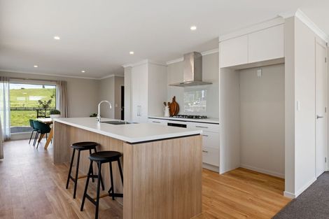 Photo of property in 19 Kakariki Lane, Rototuna North, Hamilton, 3210