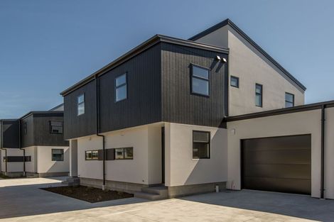 Photo of property in 2/38 Wildberry Street, Woolston, Christchurch, 8023