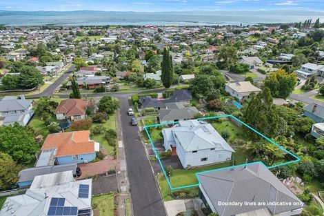 Photo of property in 103 Graham Street, Thames, 3500