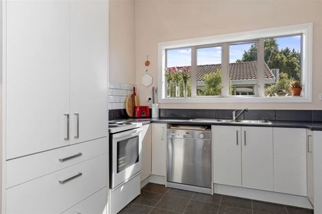 Photo of property in 1/110 Bordesley Street, Phillipstown, Christchurch, 8011