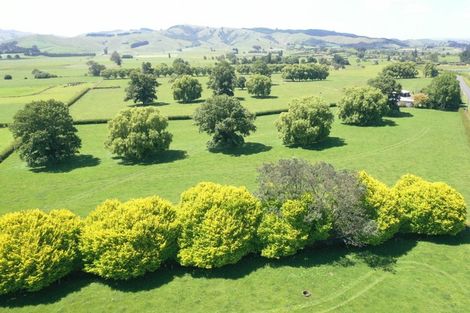 Photo of property in 231 Grice Road, Rotoorangi, Cambridge, 3495