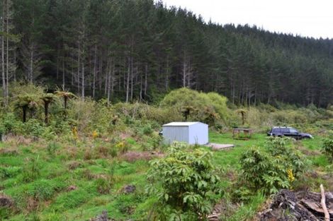 Photo of property in 867 Gladstone Road, Levin, 5571