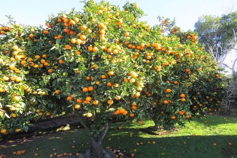 Photo of property in 149 Saint Marys Avenue, Te Awamutu, 3800