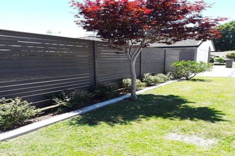 Photo of property in 8c Moore Street, Leamington, Cambridge, 3432