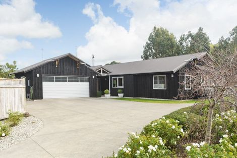 Photo of property in 38 Ursula Drive, Feilding, 4702