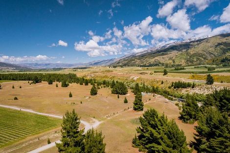 Photo of property in 411b Maori Point Road, Tarras, Cromwell, 9383
