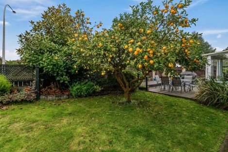 Photo of property in 16b Carnot Street, Glenholme, Rotorua, 3010