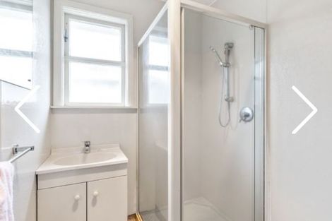 Photo of property in 55 Power Street, Levin, 5510
