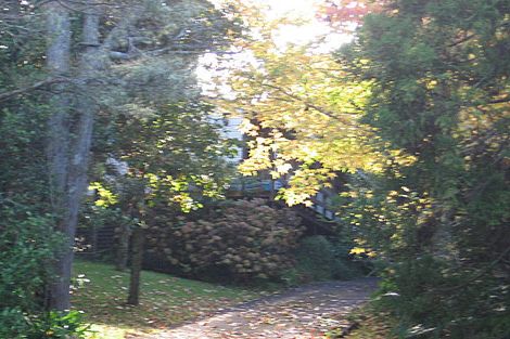 Photo of property in 13 Laingholm Drive, Laingholm, Auckland, 0604