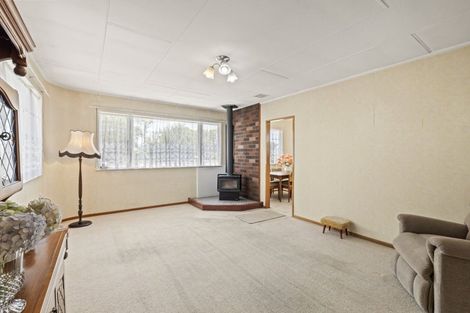 Photo of property in 49 Punga Street, Tangimoana, 4822