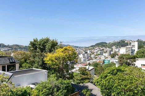 Photo of property in 5 Mckenzie Terrace, Te Aro, Wellington, 6011