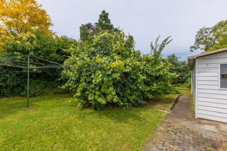 Photo of property in 21 Gaisford Terrace, Waipukurau, 4200