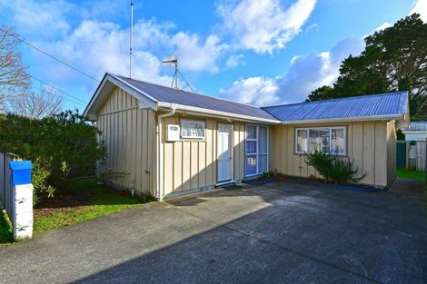 Photo of property in 101 Gibbons Street, Ebdentown, Upper Hutt, 5018