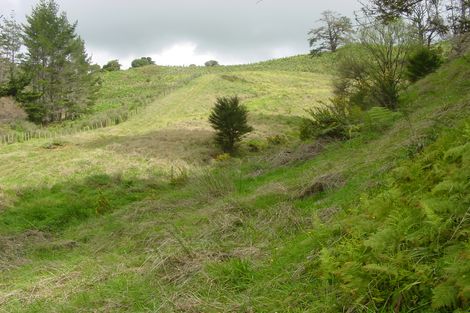 Photo of property in 521 Ahuroa Road, Puhoi, Warkworth, 0994