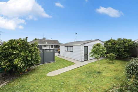 Photo of property in 20 Jasmine Avenue, Dinsdale, Hamilton, 3204