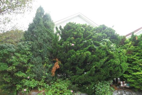 Photo of property in 8 Zande Terrace, Tawa, Wellington, 5028