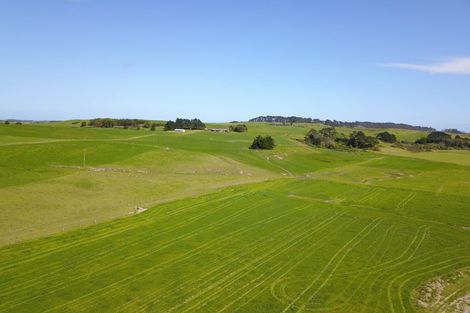 Photo of property in 110a Colville Road, Dargaville, 0310