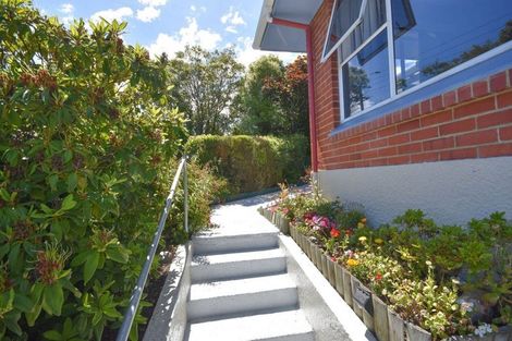 Photo of property in 234 Highcliff Road, Shiel Hill, Dunedin, 9013