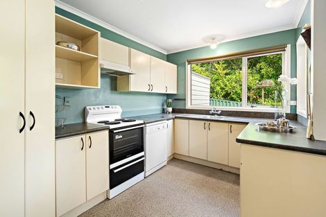 Photo of property in 29 Lonsdale Street, Belleknowes, Dunedin, 9011