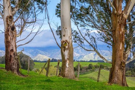 Photo of property in 48 Norsewood Ormondville Road, Norsewood, 4974