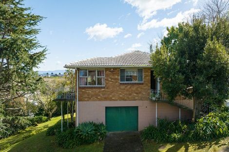 Photo of property in 101 Herewaka Street, Thames, 3500