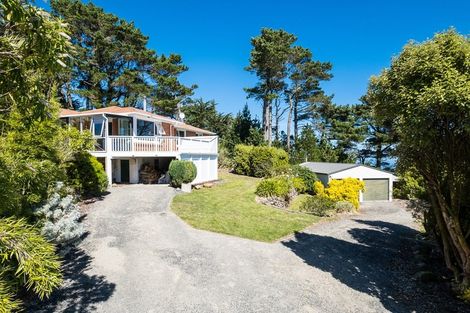 Photo of property in 47 Karetai Road, Highcliff, Dunedin, 9077