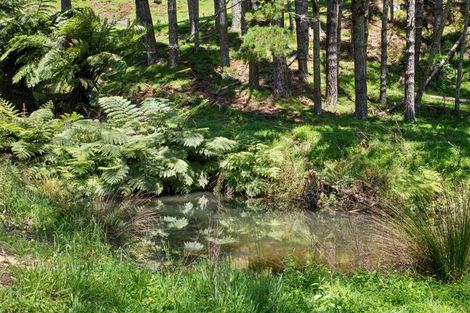 Photo of property in 865 Waikaretu Valley Road, Glen Murray, Tuakau, 2695