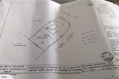 Photo of property in 16 Faulkner Street, Gate Pa, Tauranga, 3112