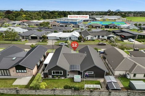 Photo of property in 12 Saint Thomas Avenue, Pyes Pa, Tauranga, 3112
