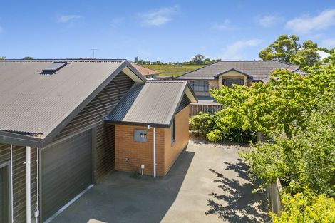 Photo of property in 68b Mclauchlan Street, Springlands, Blenheim, 7201