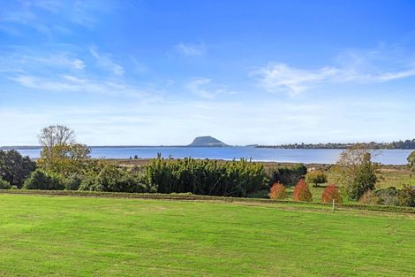 Photo of property in 137 Lochhead Road, Te Puna, Tauranga, 3176