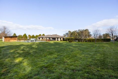 Photo of property in 499 Seddon Road, Gordonton, Hamilton, 3287