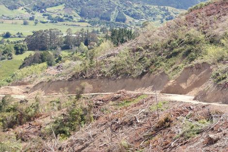 Photo of property in 80 Ross Road, Hira, 7071