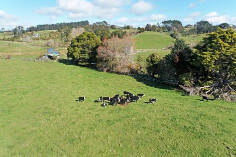 Photo of property in 1723 Ponga Road, Hunua, Papakura, 2584