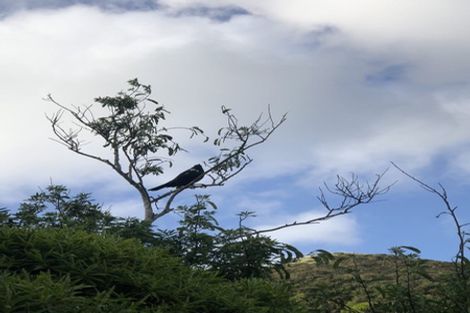 Photo of property in 5a Ngarimu Grove, Ngaio, Wellington, 6035