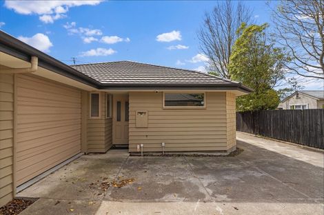 Photo of property in 12a Walpole Street, Waltham, Christchurch, 8023