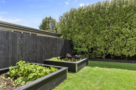 Photo of property in 3 Maccallum Court, Rototuna, Hamilton, 3210