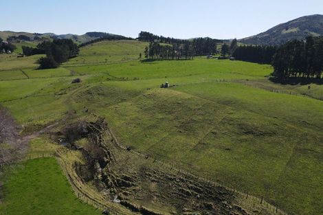 Photo of property in 3345 Weber Road, Weber, Dannevirke, 4970