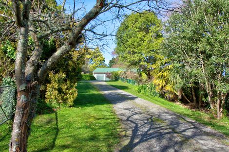 Photo of property in 132 Kaka Amu Road, Rangitumau, Masterton, 5871