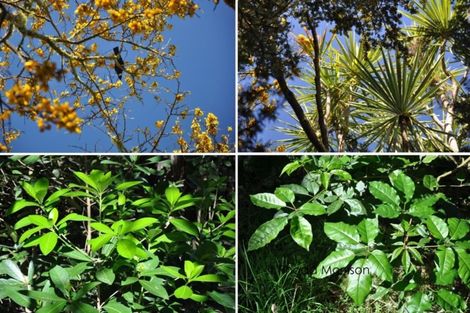 Photo of property in 196 Metcalfe Road, Matakohe, 0593