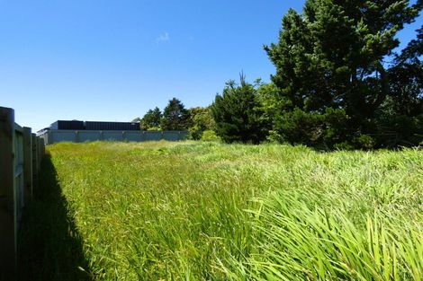 Photo of property in 42a Orowaiti Road, Westport, 7825