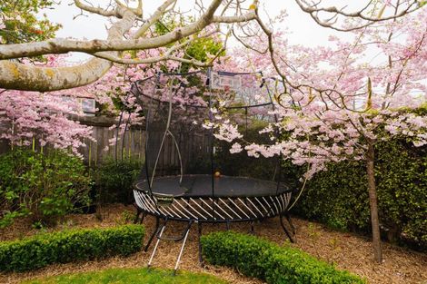 Photo of property in 20 Carnarvon Street, Belleknowes, Dunedin, 9011