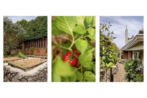 Photo of property in 70 Waratah Street, Matua, Tauranga, 3110