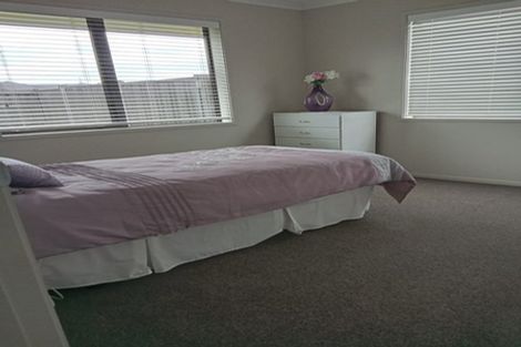 Photo of property in 19 Sirius Crescent, Rototuna North, Hamilton, 3210