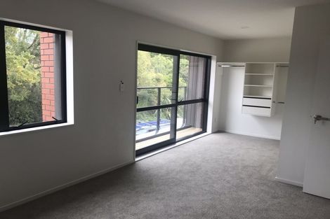 Photo of property in 4 Ti Kouka Lane, Sandringham, Auckland, 1025