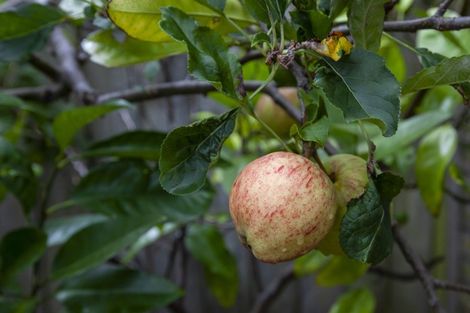 Photo of property in 74 Eatwell Avenue, Paraparaumu Beach, Paraparaumu, 5032