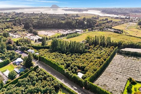 Photo of property in 138 Te Puna Road, Te Puna, Tauranga, 3174